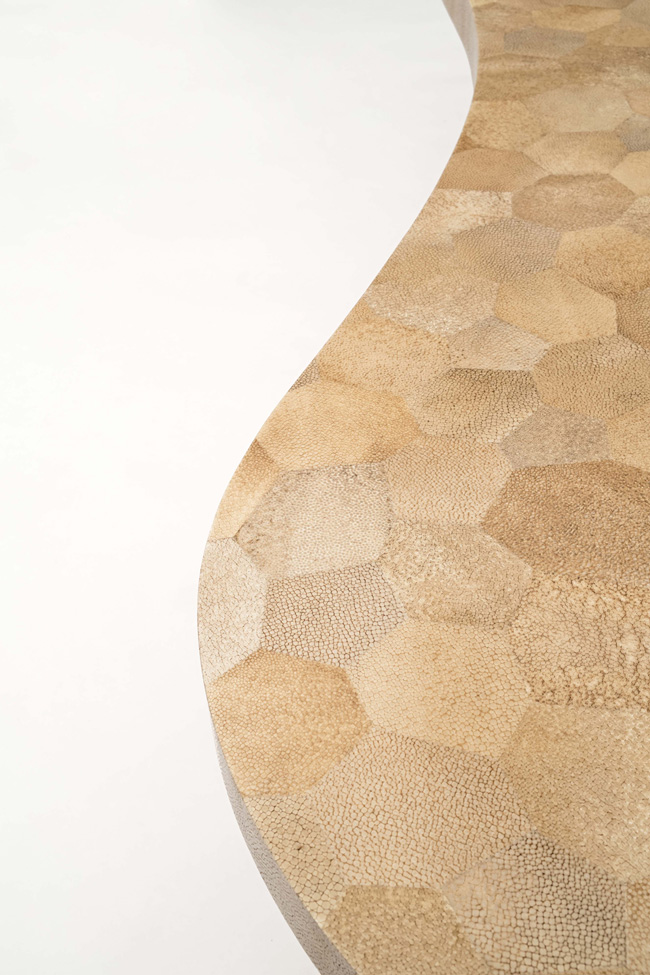 shagreen mosaic coffee table (1)